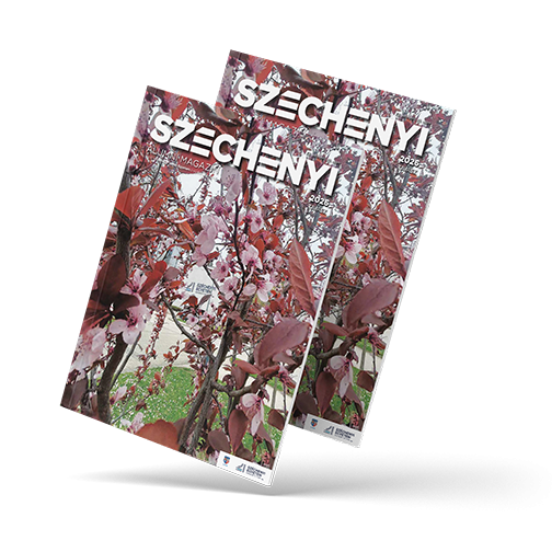 TÖRTÉNETEK, AMELYEK ÖSSZEKÖTNEK